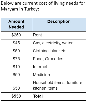 Maryam's Budget